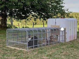 Creative Totes And Different Ways To Use An IBC Tote