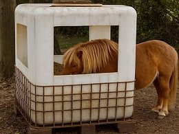 Creative Totes And Different Ways To Use An IBC Tote