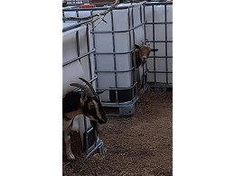 Creative Totes And Different Ways To Use An IBC Tote