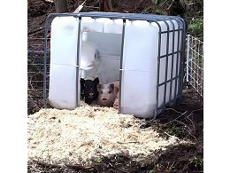 Creative Totes And Different Ways To Use An IBC Tote